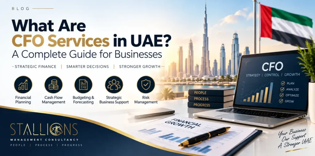 What Are CFO Services in UAE