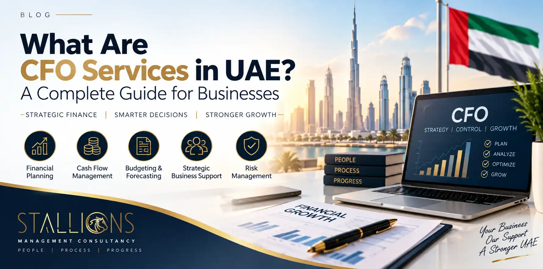 What Are CFO Services in UAE
